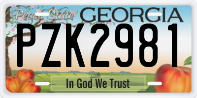 GA license plate PZK2981