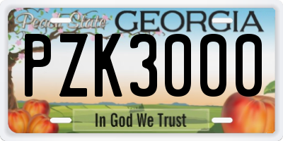 GA license plate PZK3000