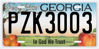 GA license plate PZK3003