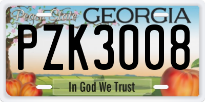 GA license plate PZK3008