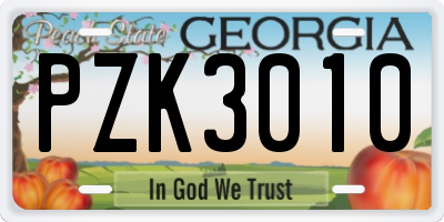 GA license plate PZK3010
