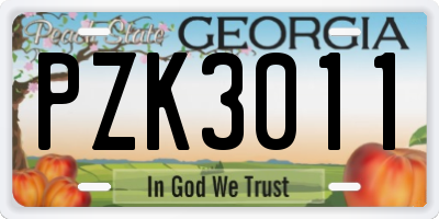 GA license plate PZK3011
