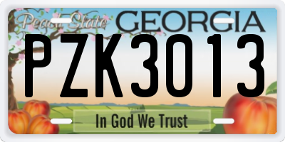 GA license plate PZK3013