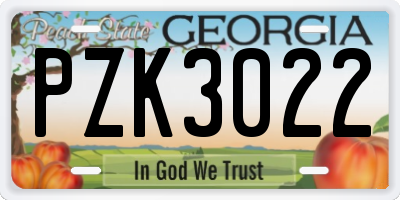 GA license plate PZK3022