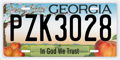 GA license plate PZK3028