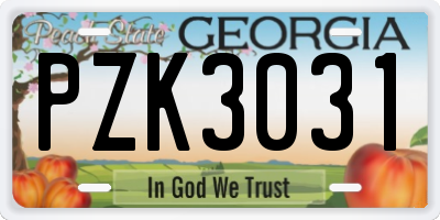 GA license plate PZK3031