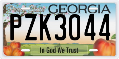GA license plate PZK3044