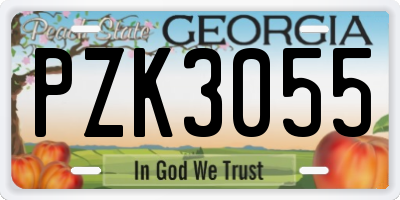 GA license plate PZK3055