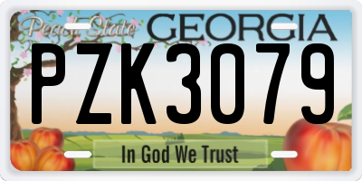 GA license plate PZK3079