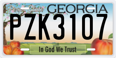 GA license plate PZK3107