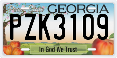 GA license plate PZK3109