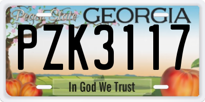 GA license plate PZK3117