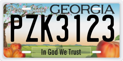GA license plate PZK3123