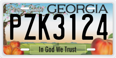 GA license plate PZK3124