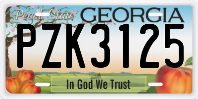 GA license plate PZK3125