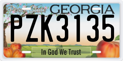 GA license plate PZK3135