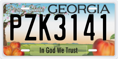 GA license plate PZK3141