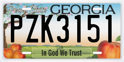 GA license plate PZK3151