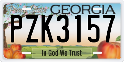 GA license plate PZK3157