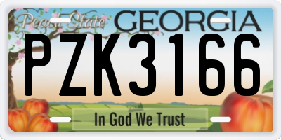 GA license plate PZK3166