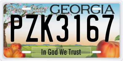 GA license plate PZK3167