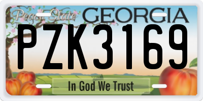 GA license plate PZK3169