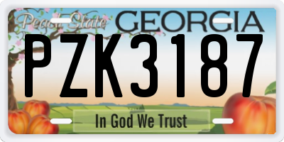 GA license plate PZK3187