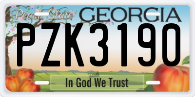 GA license plate PZK3190