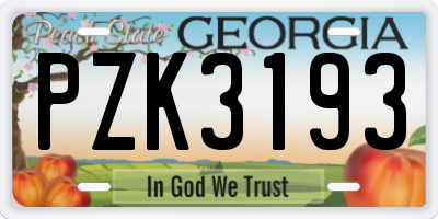 GA license plate PZK3193