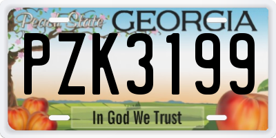 GA license plate PZK3199