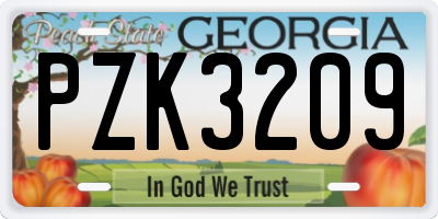 GA license plate PZK3209