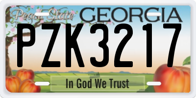 GA license plate PZK3217