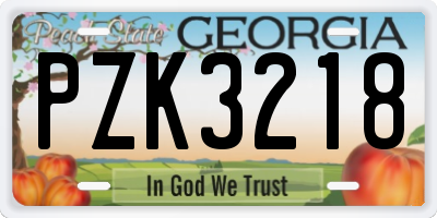 GA license plate PZK3218