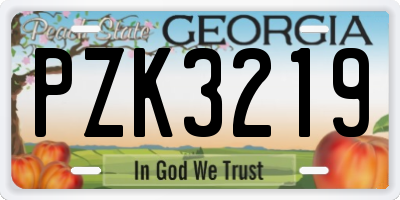 GA license plate PZK3219