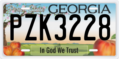 GA license plate PZK3228