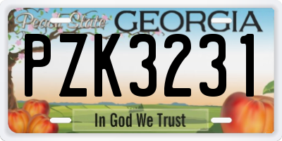 GA license plate PZK3231