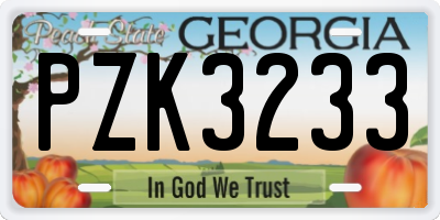 GA license plate PZK3233
