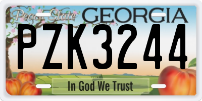 GA license plate PZK3244
