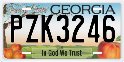 GA license plate PZK3246