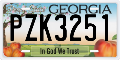 GA license plate PZK3251