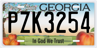 GA license plate PZK3254