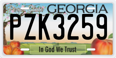 GA license plate PZK3259