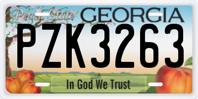 GA license plate PZK3263