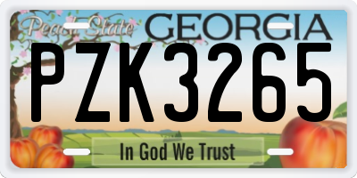 GA license plate PZK3265