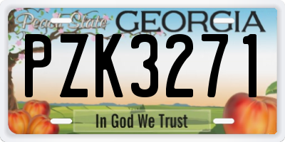 GA license plate PZK3271