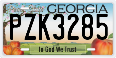 GA license plate PZK3285