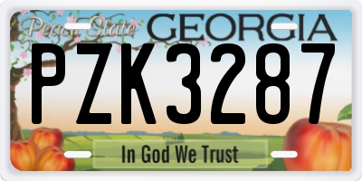 GA license plate PZK3287