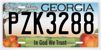 GA license plate PZK3288