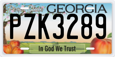 GA license plate PZK3289