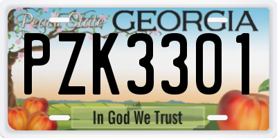 GA license plate PZK3301